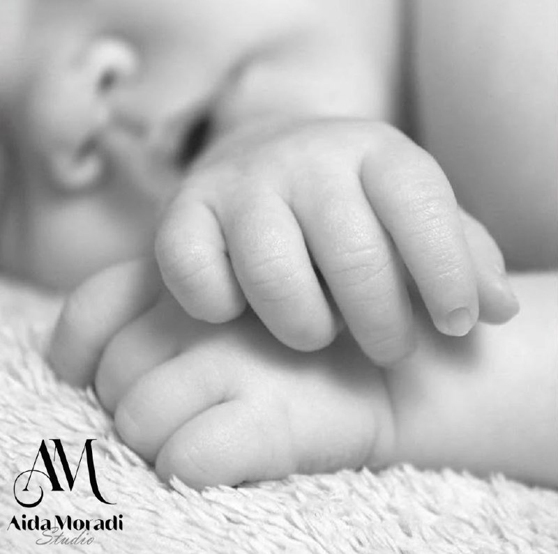 نمونه کارهای استودیو آیدا نمونه کارهای استودیو آیدا