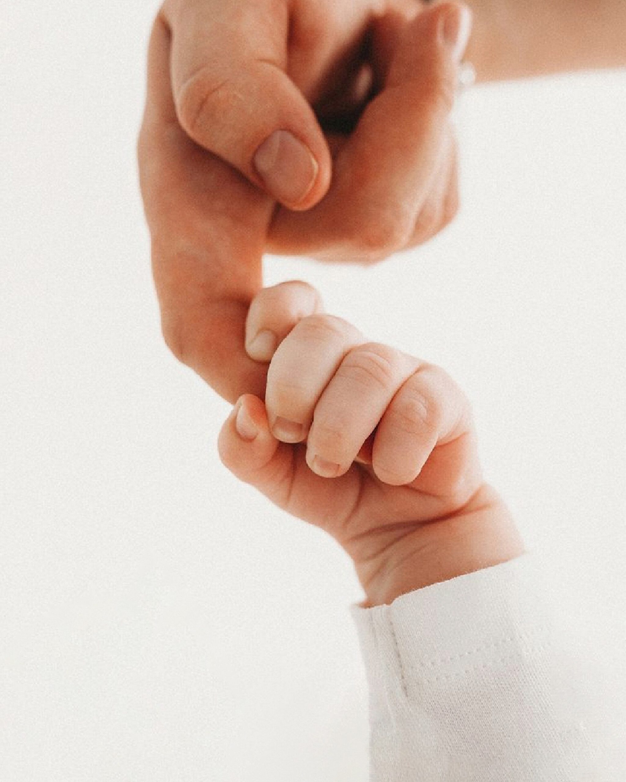 نمونه کارهای استودیو آیدا نمونه کارهای استودیو آیدا